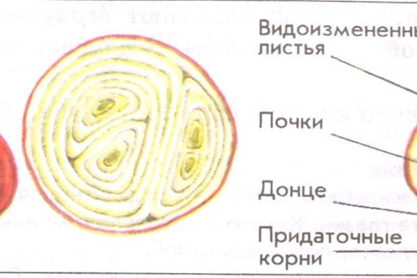 Как положить деньги на кракен