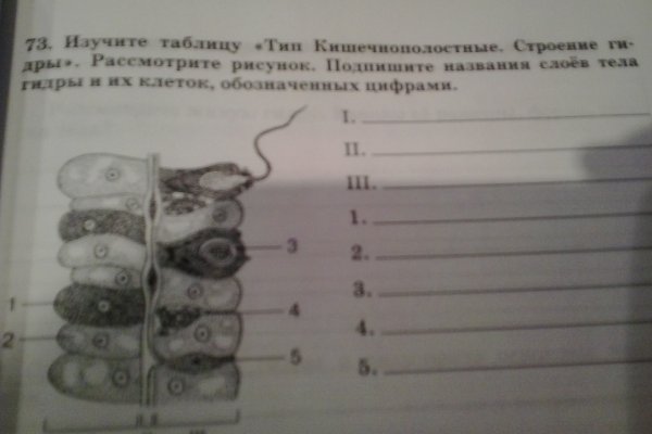 Kraken гидра