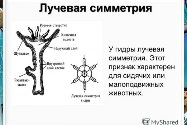 Оригинальная ссылка на кракен